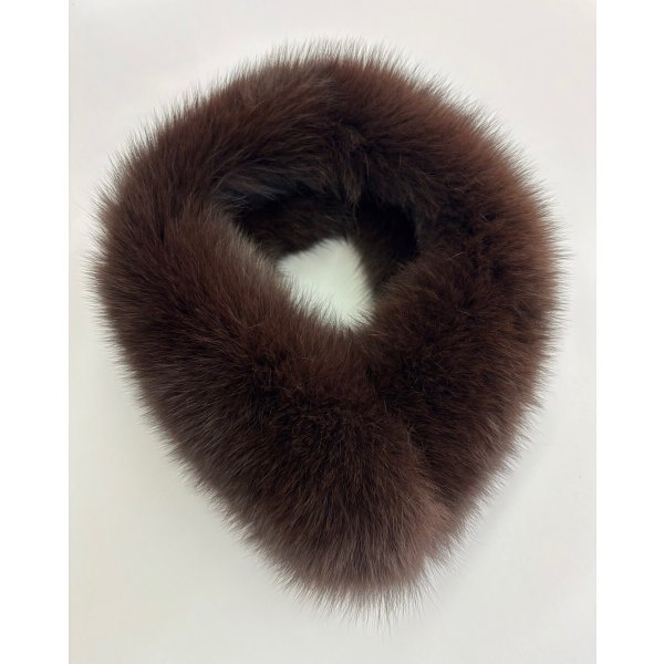 画像1: FOXカラー (1)