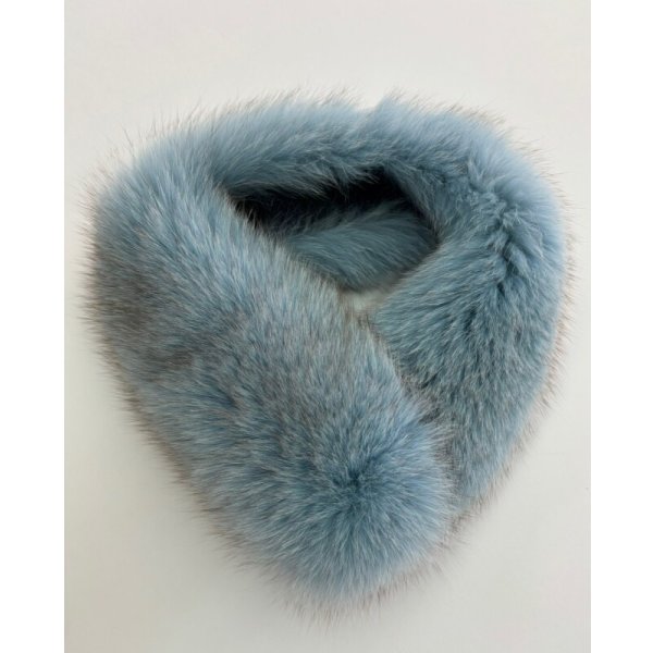 画像1: FOXカラー (1)