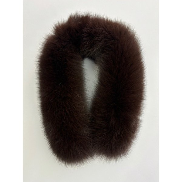 画像2: FOXカラー (2)